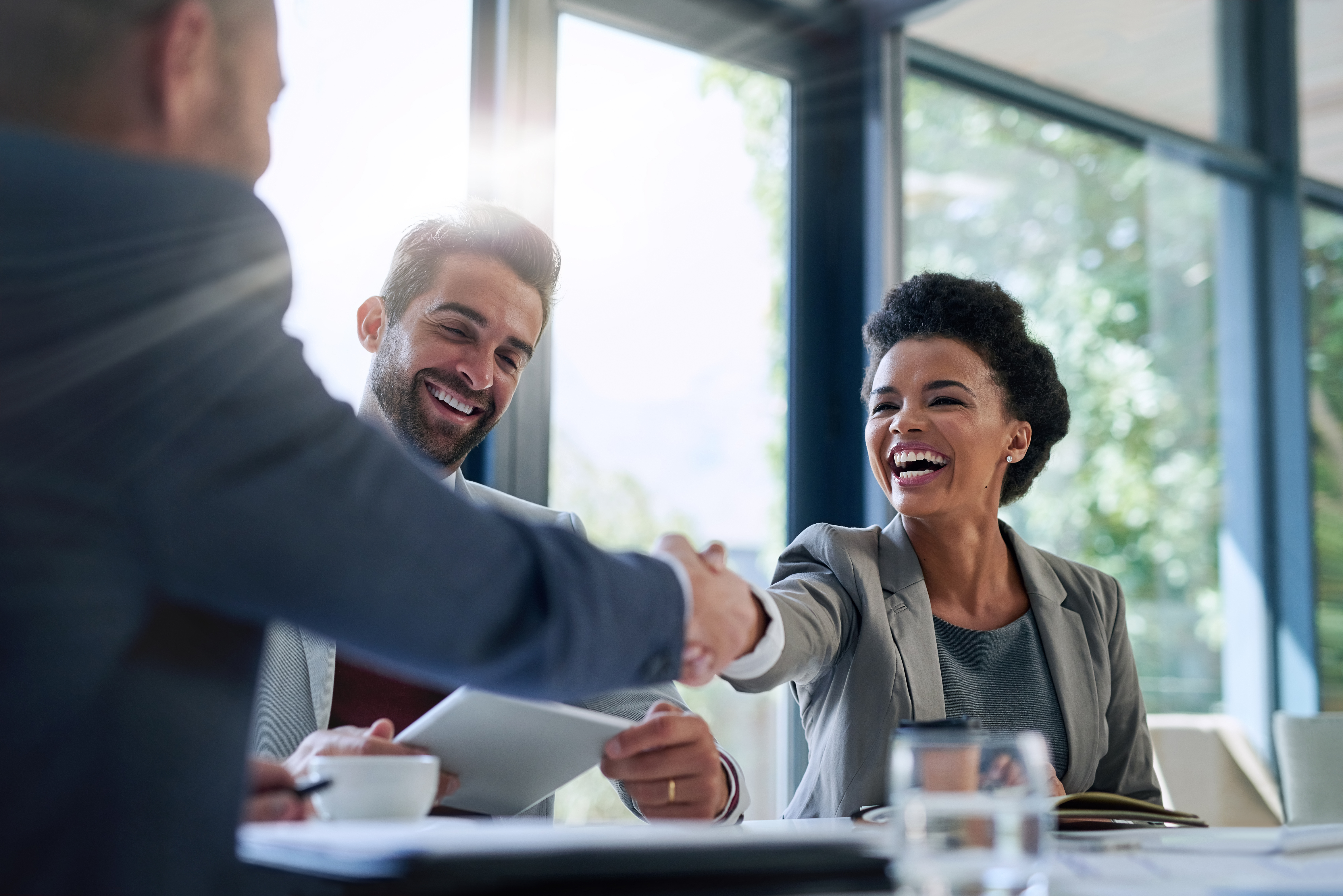 The Baesman Advantage: Agency vs Internal Team